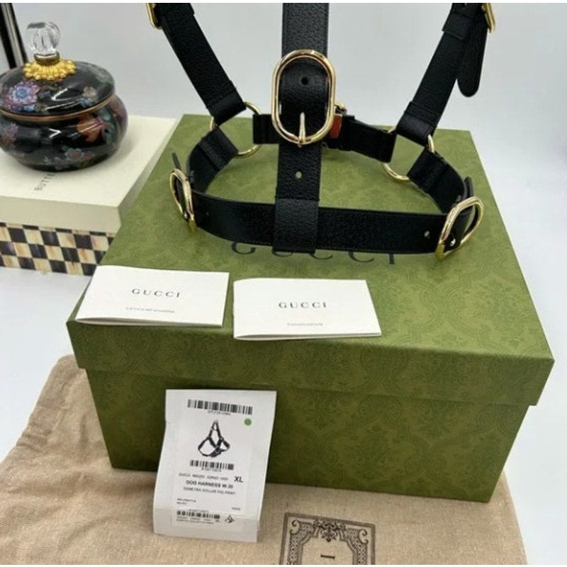 Gucci demetra , extra large leather dog harness made in Italy