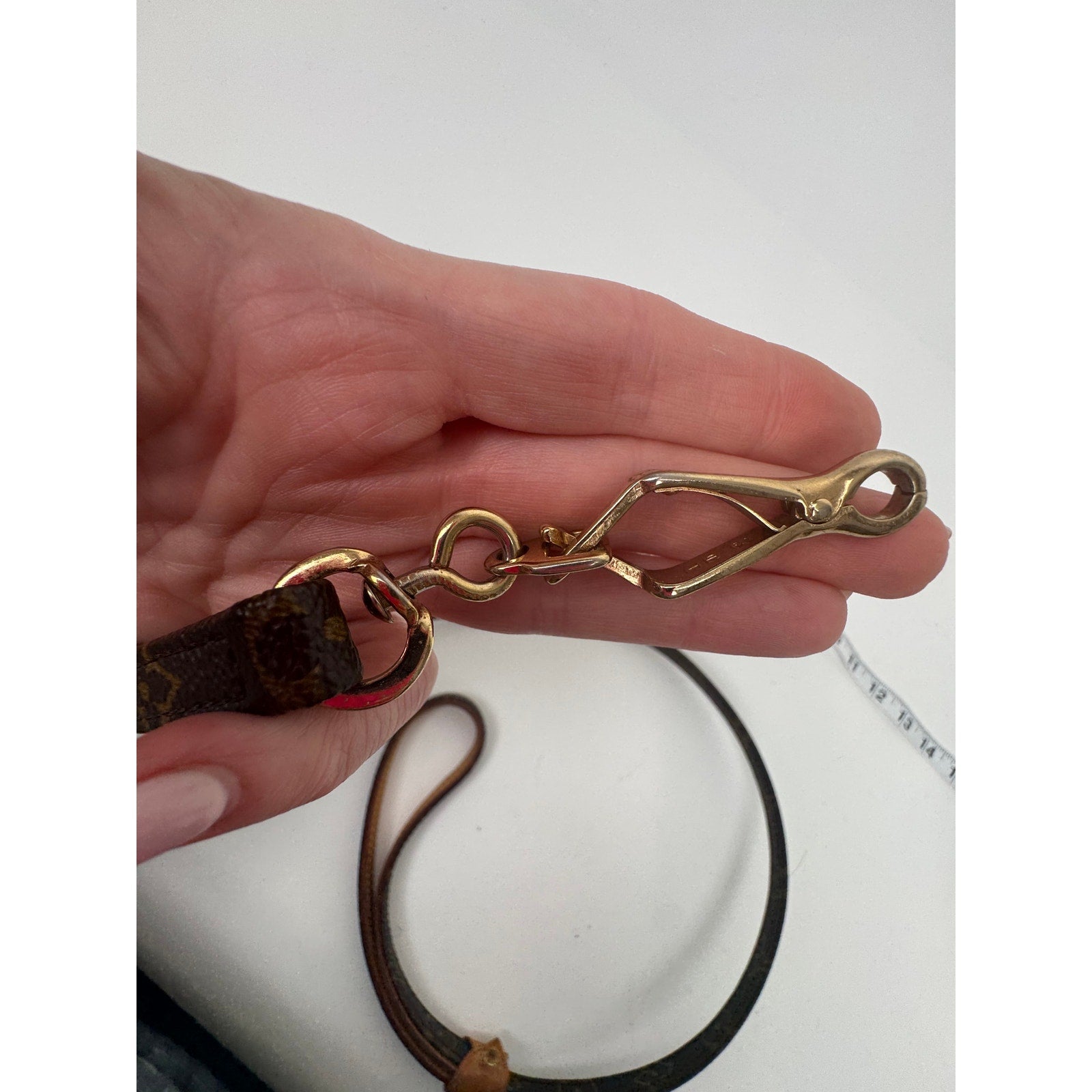 Louis Vuitton Brown Monogram Coated Canvas Baxter Dog Leash