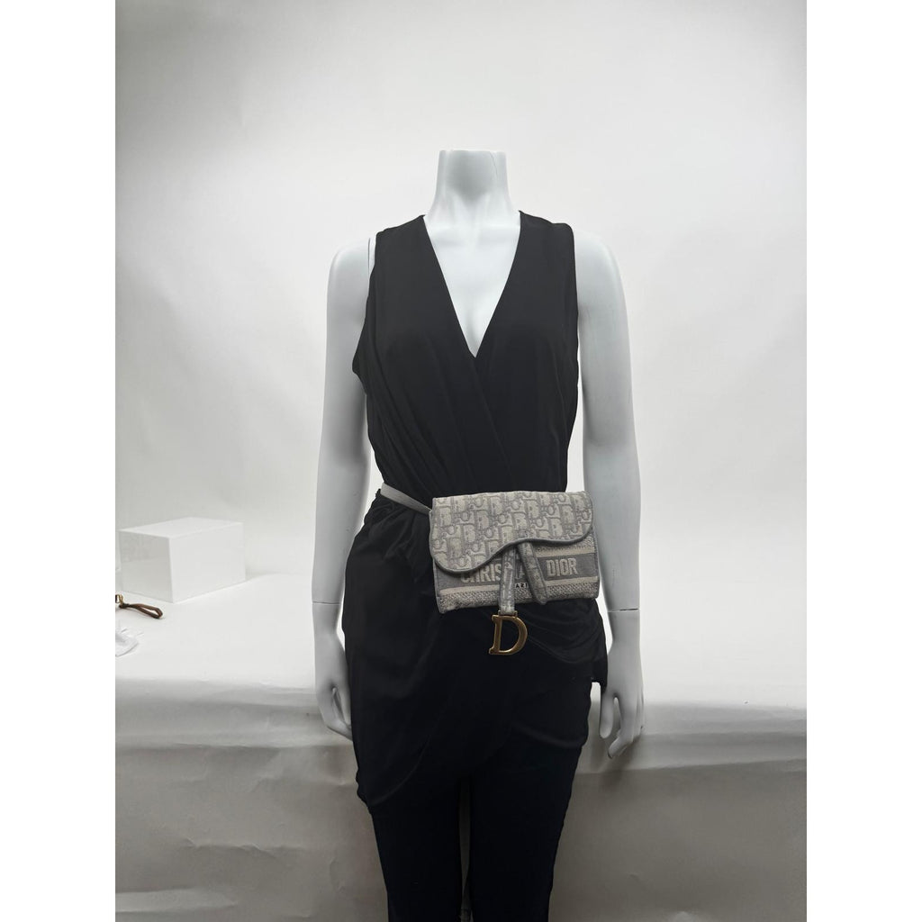 Women's Dior Saddle Grey Belt Bag