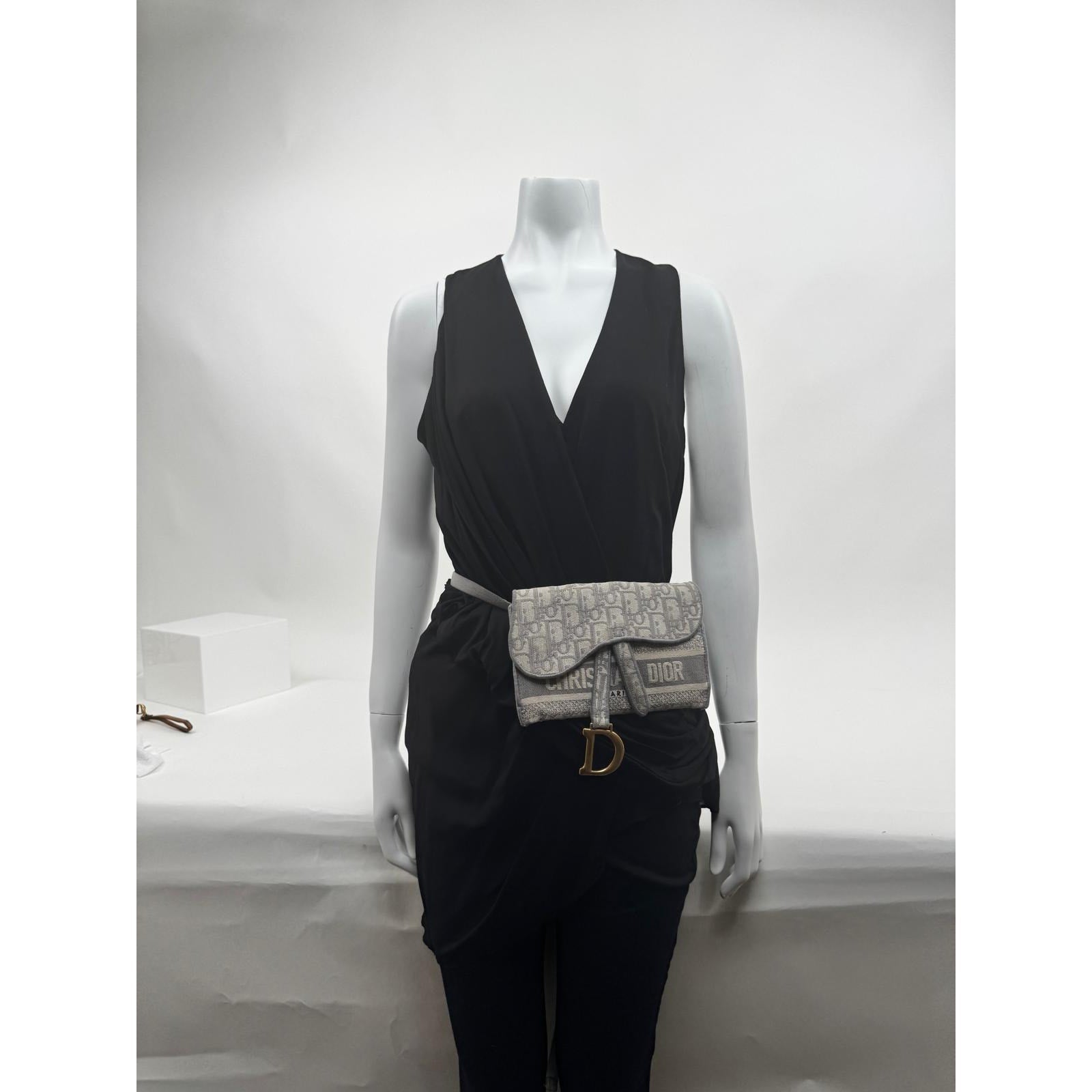 Women's Dior Saddle Grey Belt Bag
