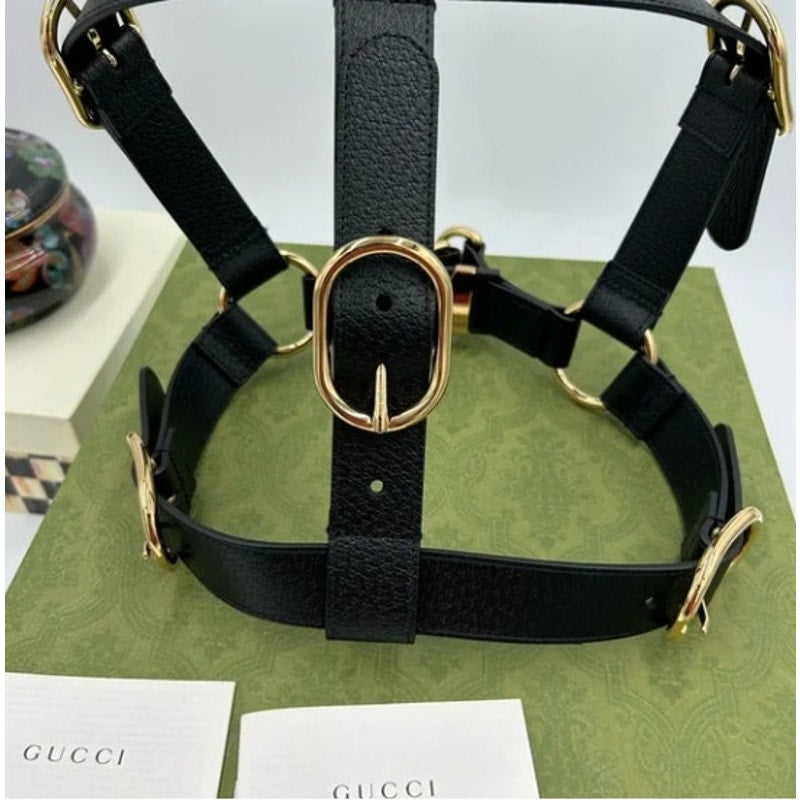 Gucci demetra , extra large leather dog harness made in Italy