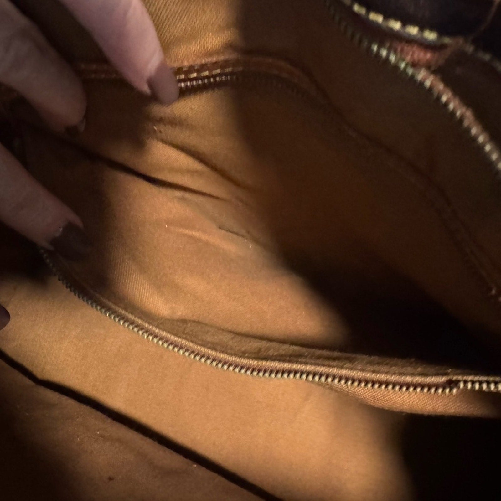 Louis Vuitton Damier Ebene tote, similar size to a Neverful..and functionality