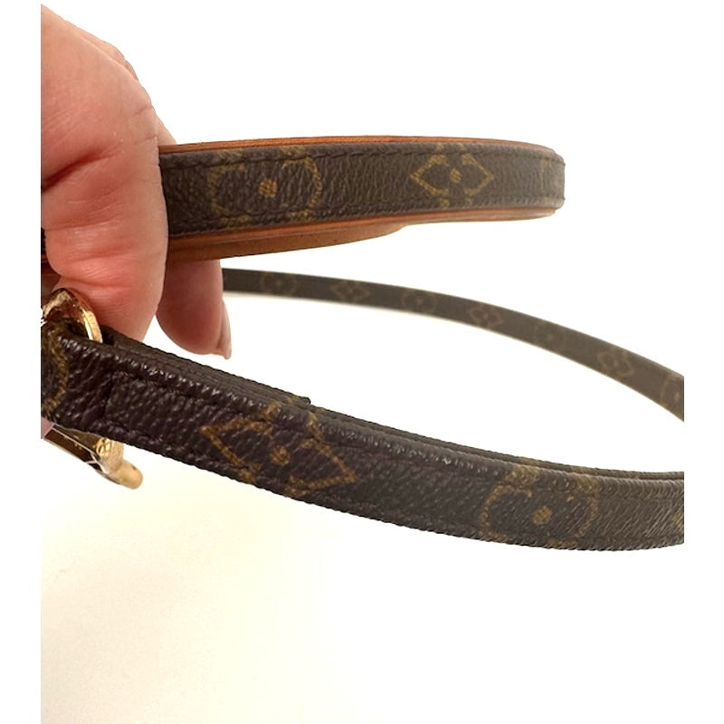 Louis Vuitton Brown Monogram Coated Canvas Baxter Dog Leash