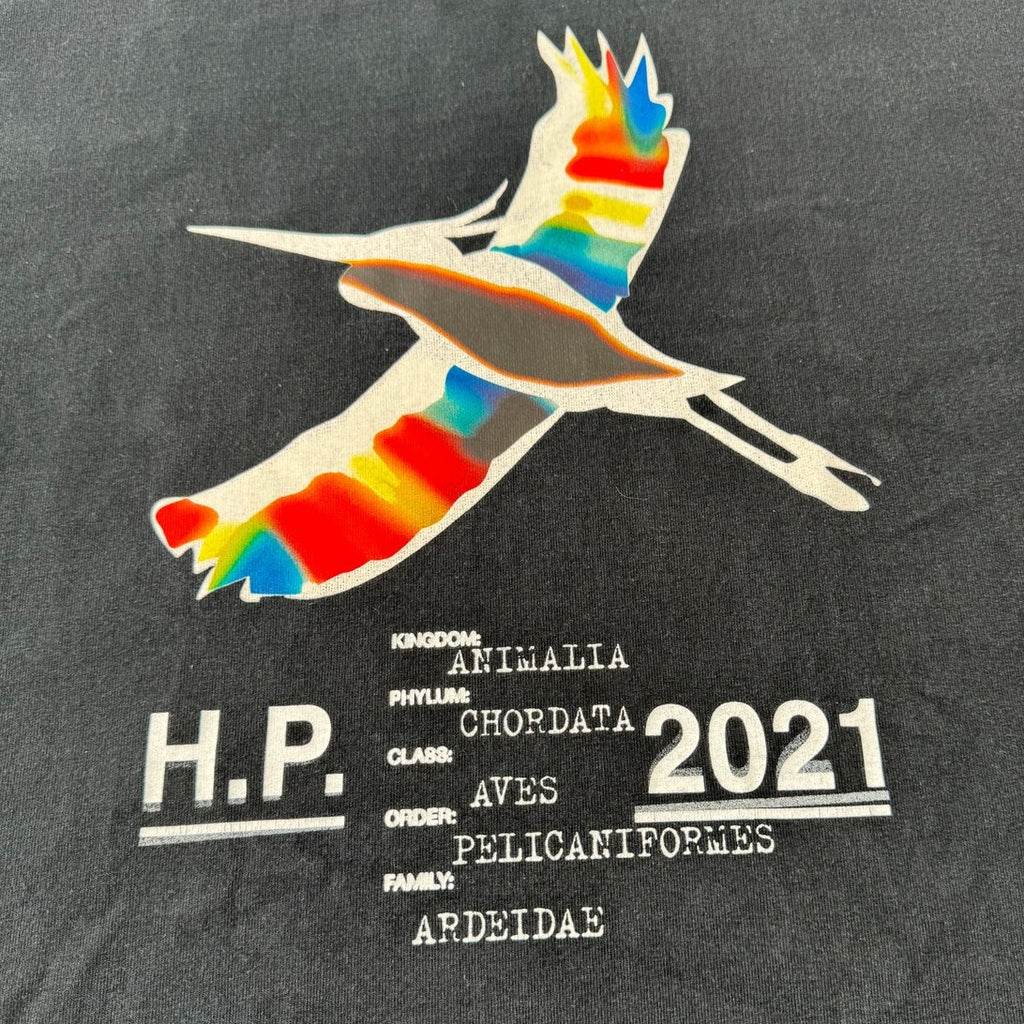 Men's Heron Preston Rare Heron Rainbow T-Shirt Size M Fits Like An XL