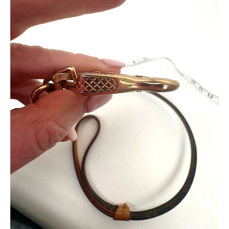 Louis Vuitton Brown Monogram Coated Canvas Baxter Dog Leash