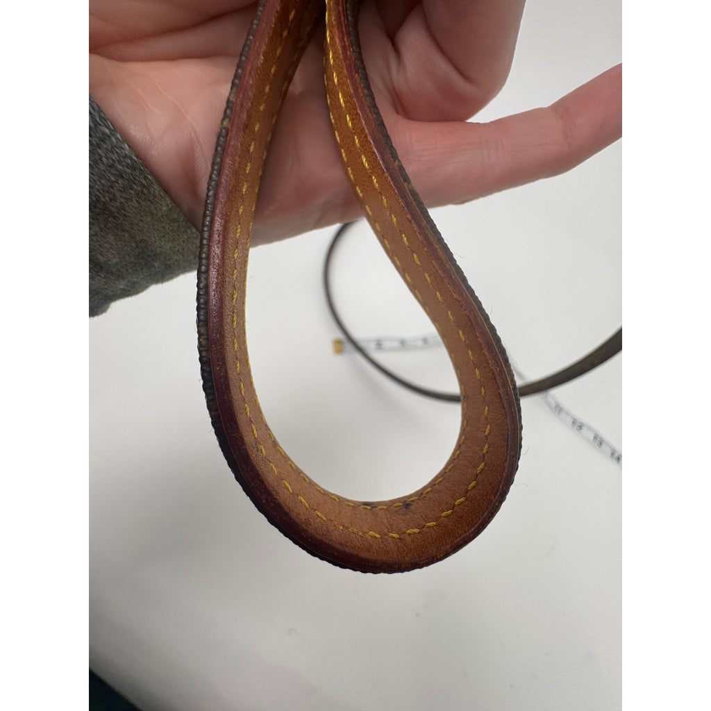Louis Vuitton Brown Monogram Coated Canvas Baxter Dog Leash