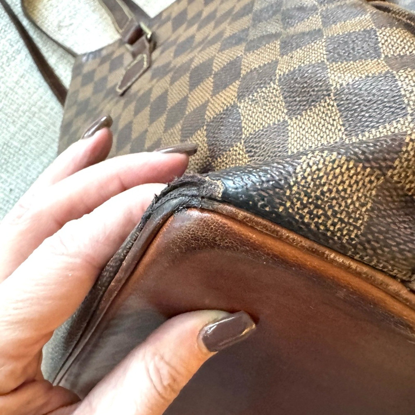 Louis Vuitton Damier Ebene tote, similar size to a Neverful..and functionality