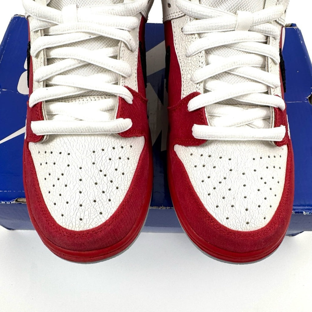 DS 2011 NIKE SB DUNK LOW PREMIUM SB ROLLER DERBY SZ 10 MENS 313170-601