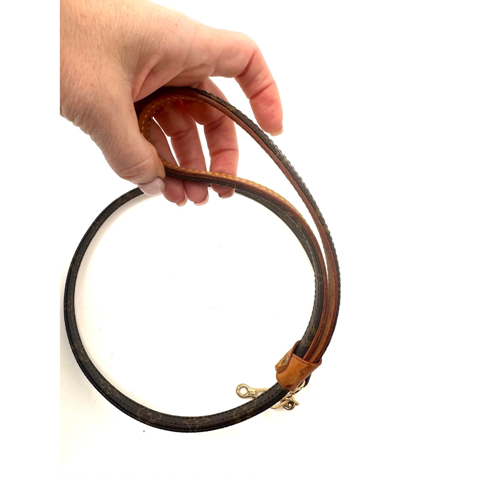 Louis Vuitton Brown Monogram Coated Canvas Baxter Dog Leash