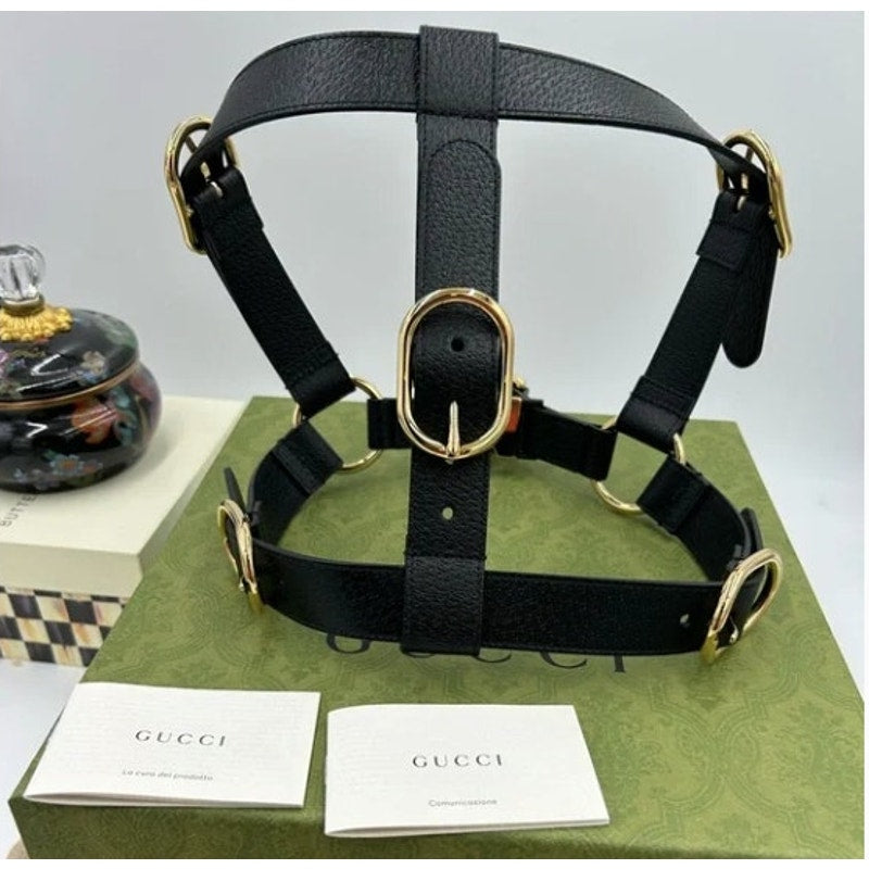 Gucci demetra , extra large leather dog harness made in Italy