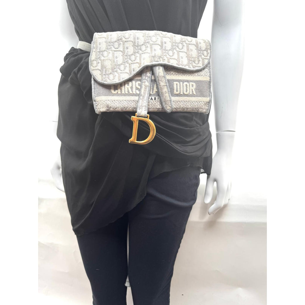 Women's Dior Saddle Grey Belt Bag