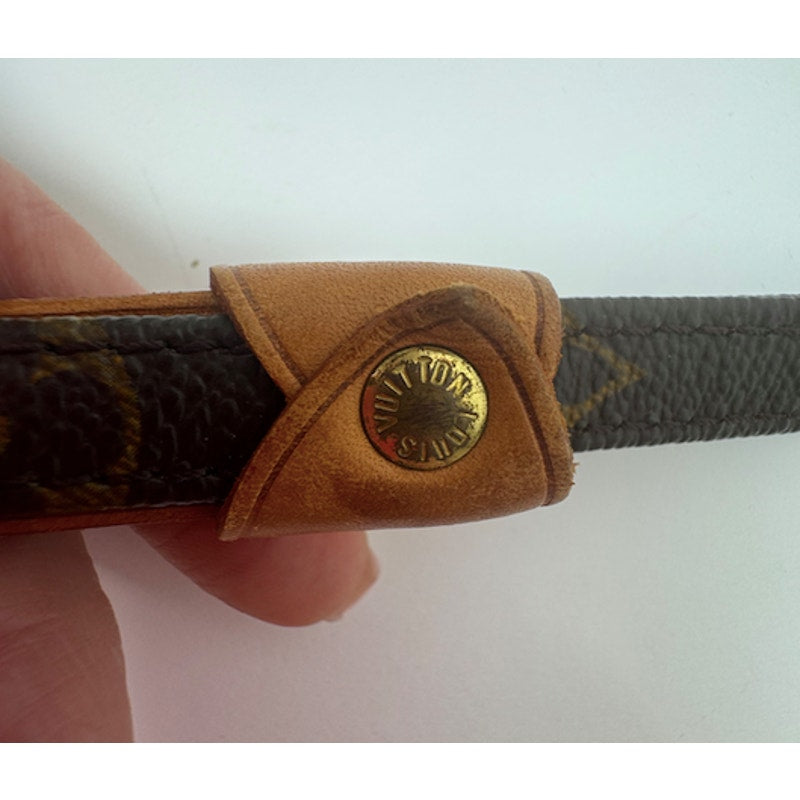 Louis Vuitton Brown Monogram Coated Canvas Baxter Dog Leash