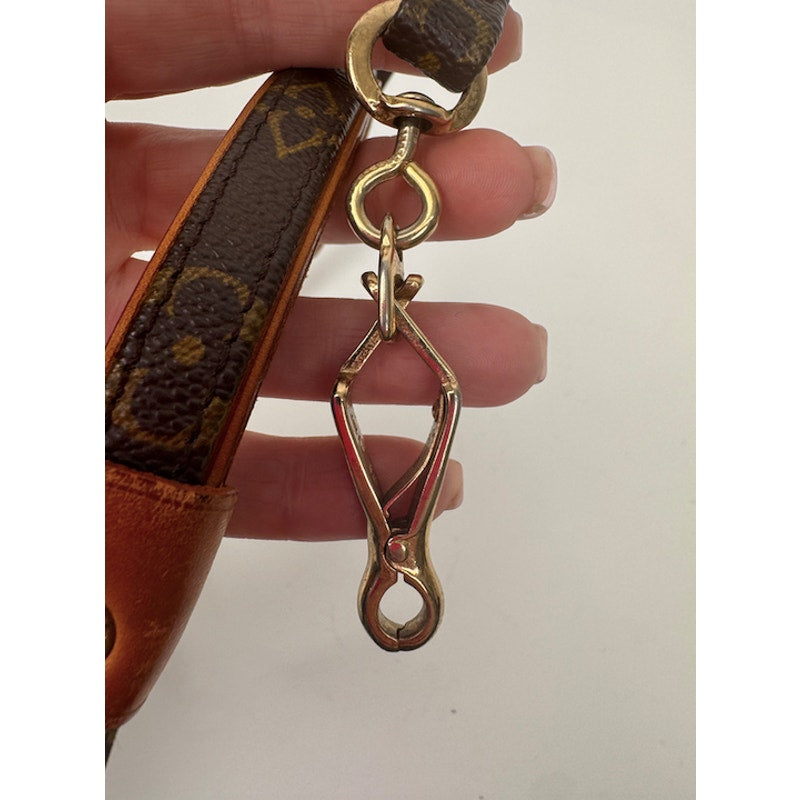 Louis Vuitton Brown Monogram Coated Canvas Baxter Dog Leash