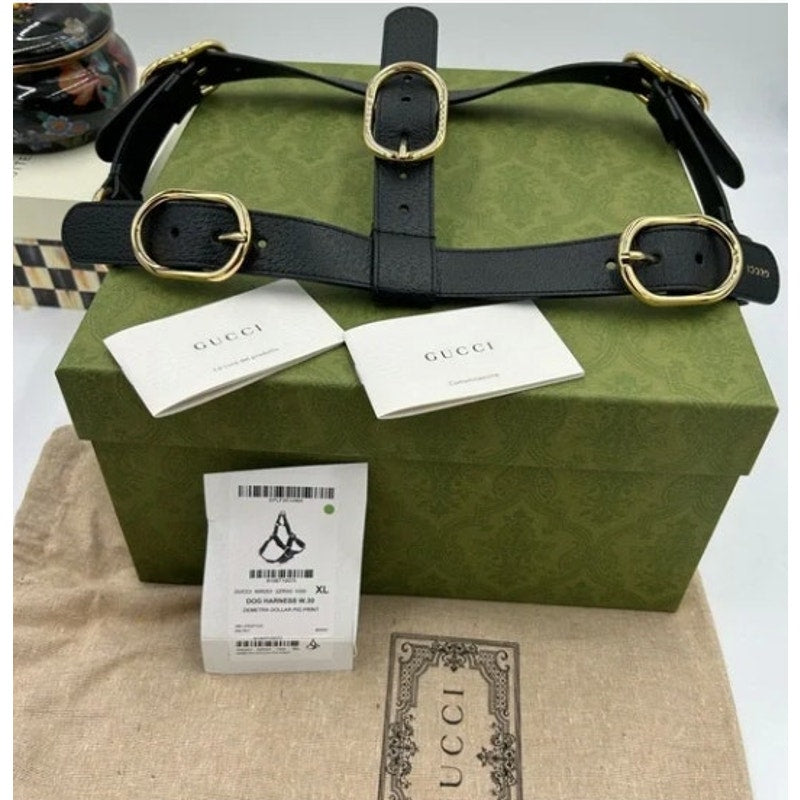 Gucci demetra , extra large leather dog harness made in Italy