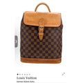 Louis Vuitton Damier Ebene Mini Montsouris Backpack