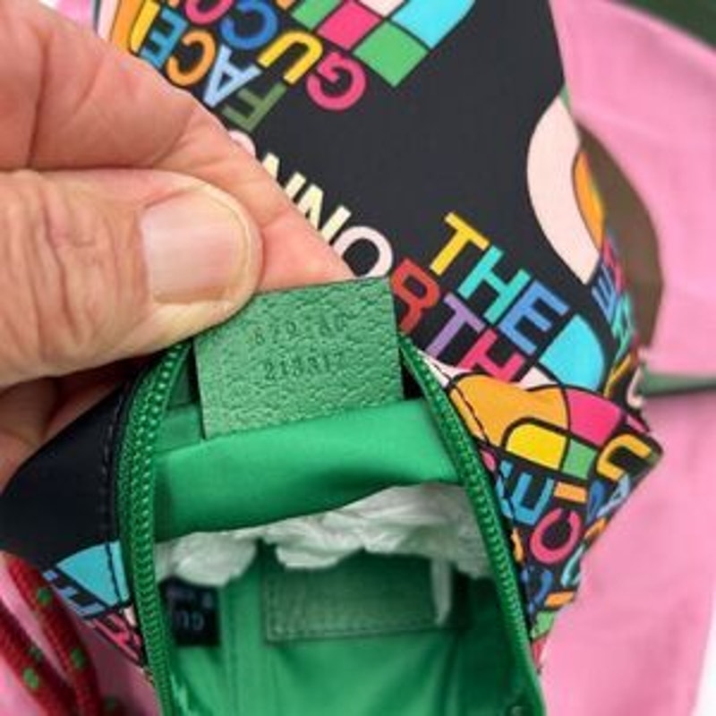 Gucci X North face shoulder bag made in Italy
