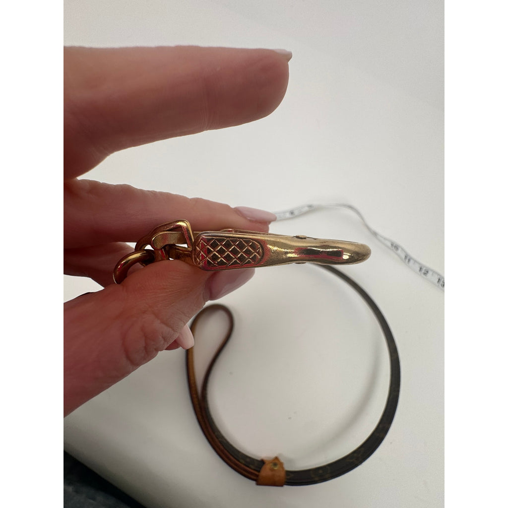 Louis Vuitton Brown Monogram Coated Canvas Baxter Dog Leash