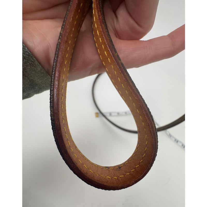 Louis Vuitton Brown Monogram Coated Canvas Baxter Dog Leash