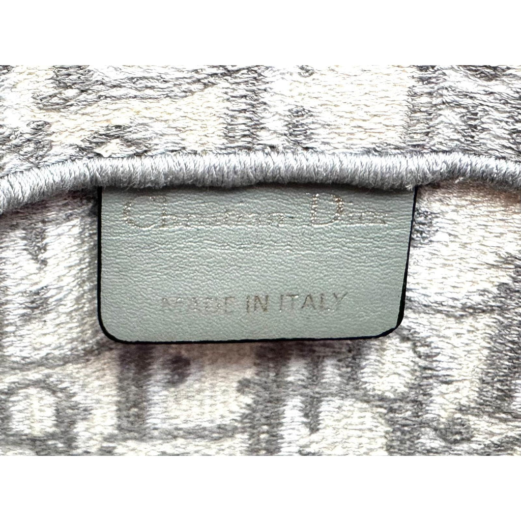 Women's Dior Saddle Grey Belt Bag