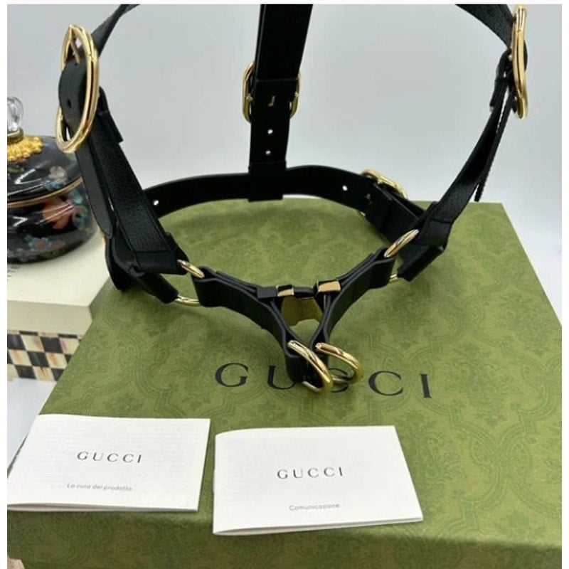 Gucci demetra , extra large leather dog harness made in Italy